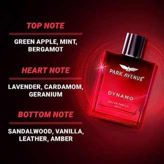 Park Avenue Men’s Perfume | Dynamo | Eau De Parfum, 100 ml | Premium Perfume for Men - Image 3